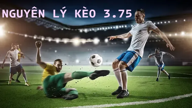 Đánh Giá Kèo 3.75 Và Xu Hướng Tấn Công Tổng Lực