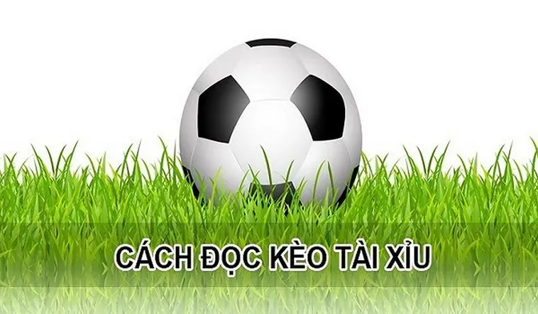 Bí Quyết Chinh Phục Kèo Tài Xỉu Và Nhận Thưởng Cực Lớn Mỗi Ngày