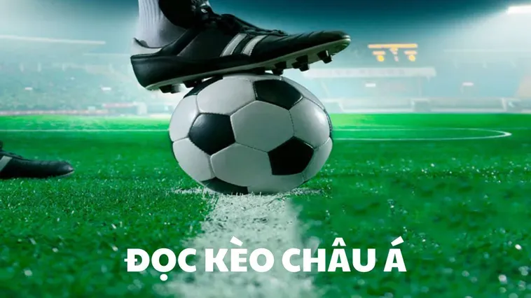 Tìm Hiểu Chuyên Sâu Về Kèo Châu Á Trong Bóng Đá Quốc Tế
