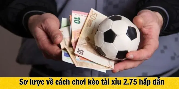 Biển Người Chiến Thắng Với Nghệ Thuật Chinh Phục Kèo Chấp 2 3/4 Đỉnh Cao