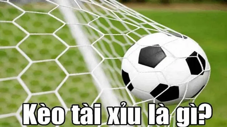 Chiến Thuật Phân Tích Kèo Tài Xỉu Bóng Đá Đỉnh Cao Năm 2026