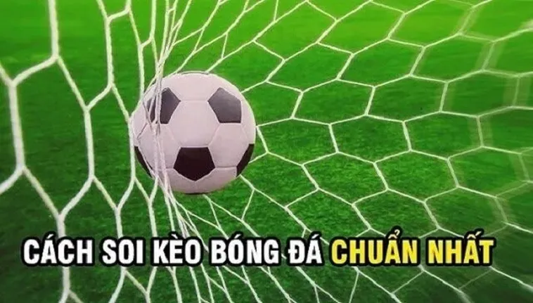 Chiến Thuật Chinh Phục Kèo Rung Trong Bóng Đá Đỉnh Cao Năm 2026